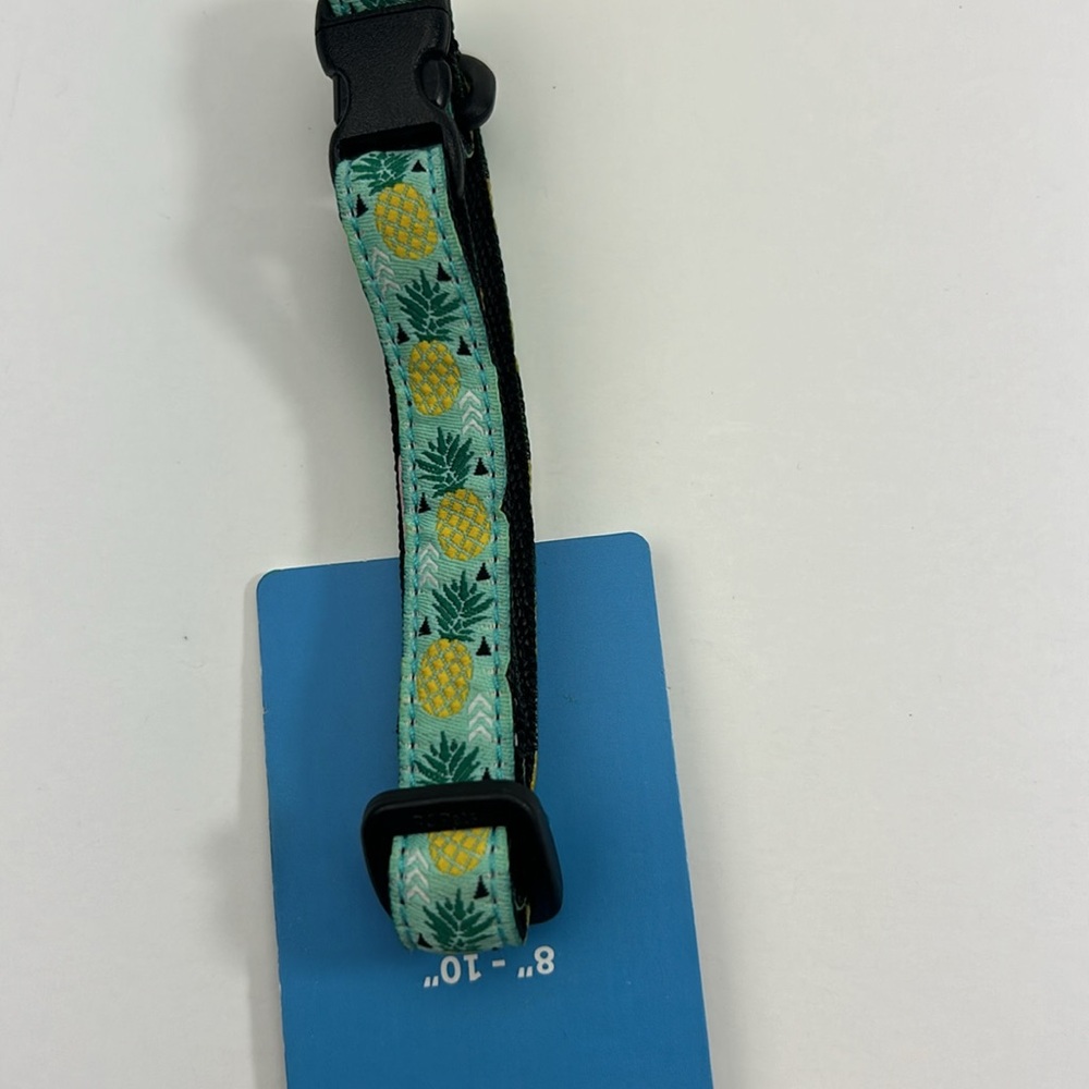 Kitty breakaway collar